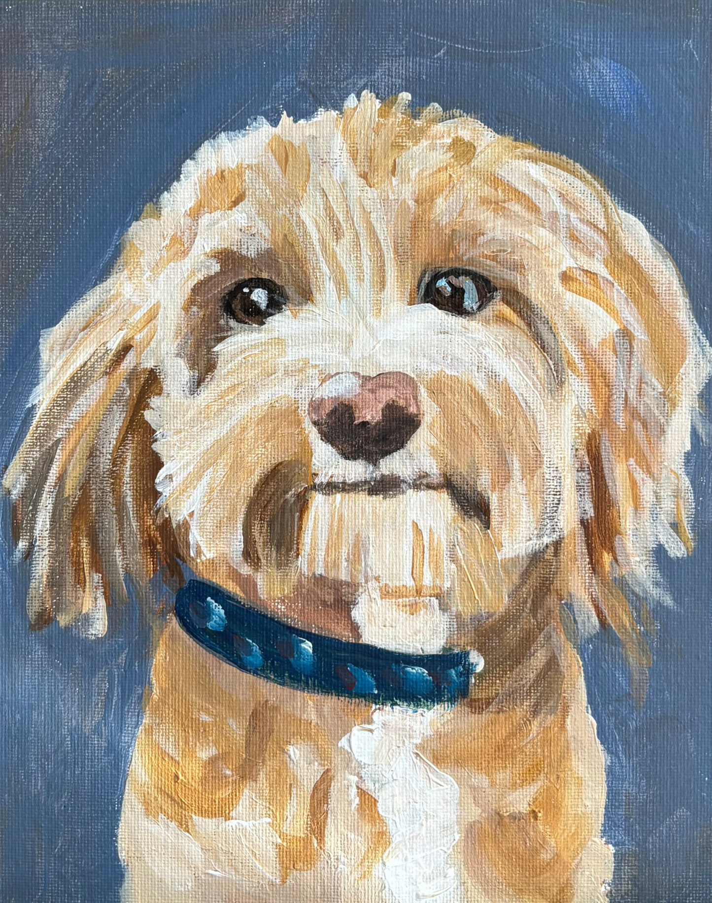 Koda